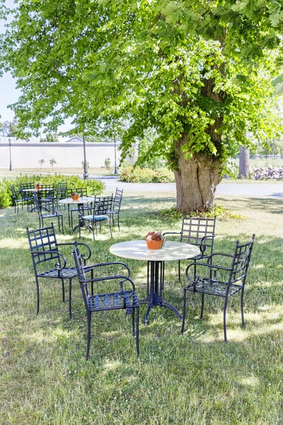 Kafe sandalyeleri ve parkta bir masa. — Stok fotoğraf