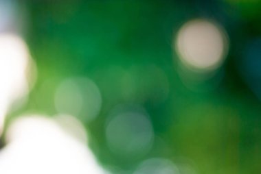 Yeşil bulanık arkaplan ve güneş ışığı