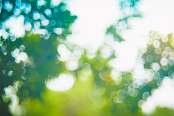 Естественный Зеленый Размытый Фон Солнечном Свете Абстрактный Круглый Боке Зеленых — стоковое фото