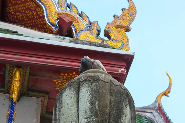 Två Duva Stående Taket Templet Wat Suthat Dagtid Bangkok Thailand — Stockfoto