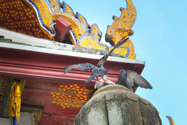 Tre Dove Stående Taket Templet Wat Suthat Dagtid Bangkok Thailand — Stockfoto