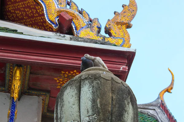 Deux Colombes Debout Sur Toit Temple Wat Suthat Jour Bangxo — Photo