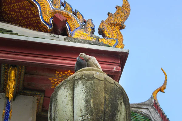 Güvercin Tapınağın Çatısında Duran Wat Suthat Gündüz Vakti Bangkok Tayland — Stok fotoğraf