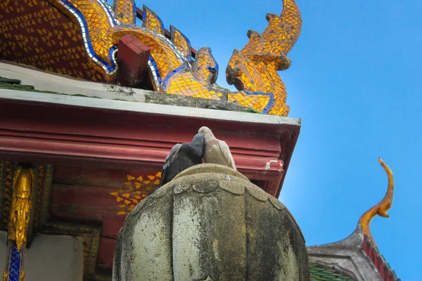 Güvercin Tapınağın Çatısında Duran Wat Suthat Gündüz Vakti Bangkok Tayland — Stok fotoğraf