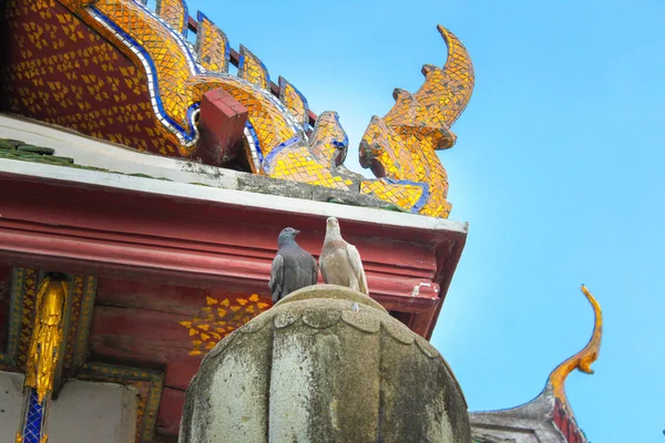 Två Duva Stående Taket Templet Wat Suthat Dagtid Bangkok Thailand — Stockfoto