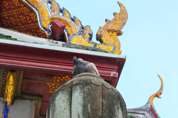 Два Голуба Стоячи Дах Храму Wat Suthat Світлий Час Доби — стокове фото