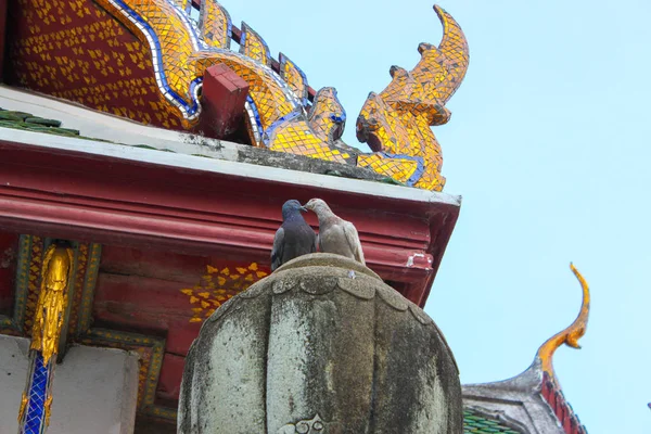 Twee Duif Staande Het Dak Van Tempel Wat Suthat Overdag — Stockfoto