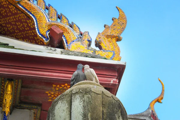 Två Duva Stående Taket Templet Wat Suthat Dagtid Bangkok Thailand — Stockfoto