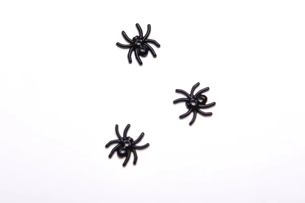 Cadılar Bayramı Dekorasyonları Siyah Örümceği Beyaz Arka Planda Cadılar Bayramı — Stok fotoğraf