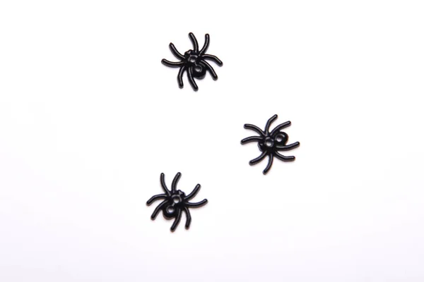 Decorações Halloween Definir Aranha Preta Fundo Branco Fundo Feriado Halloween — Fotografia de Stock