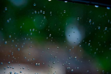 Yeşil ağaç arka planlı yağmur damlaları, romantik sahne içeriği, renkli yağmur damlaları. Bulanık ağaç yaprakları.