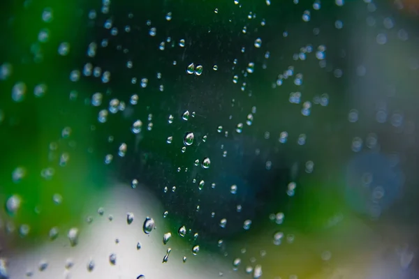 Druppels Regen Glas Met Groene Boom Natuur Achtergrond Romantische Shot — Stockfoto