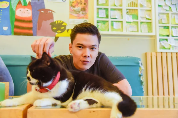 Homem Com Gato Brincando Sala Estar — Fotografia de Stock