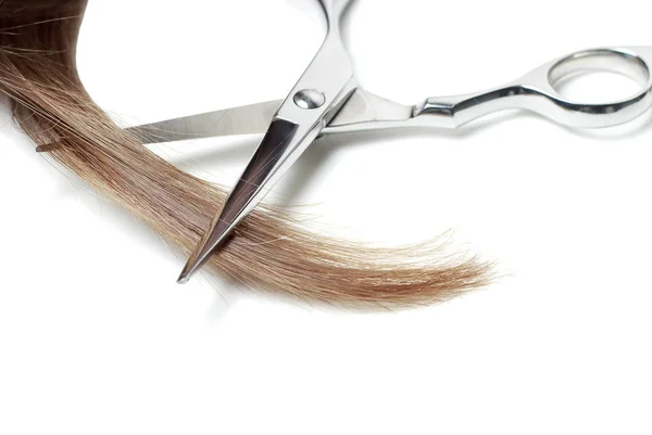 Schere und braune Haare isoliert auf weißem Hintergrund — Stockfoto