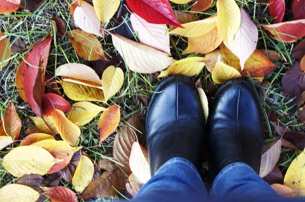 Pernas femininas em botas na vista de folhagem de outono de cima, conceito de outono — Fotografia de Stock