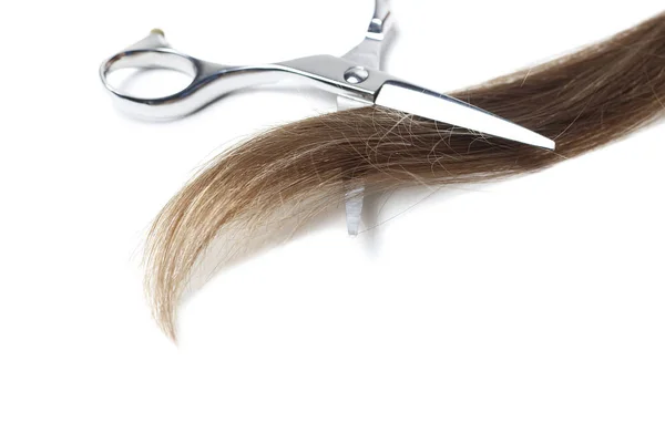 Ножиці і коричневе волосся ізольовані на білому тлі, копіювання простору . — стокове фото