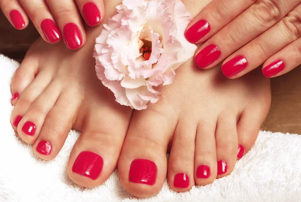Pink manicure and pedicure with flower close-up on white background, top view
