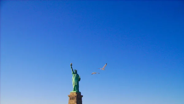 the liberty in new york with birds flying around