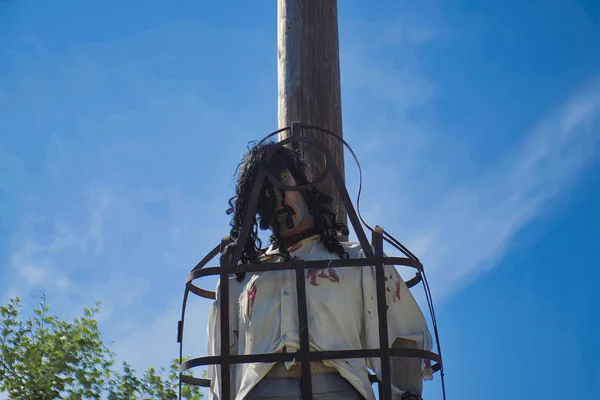 a pirate doll is tied up on a tree in a park