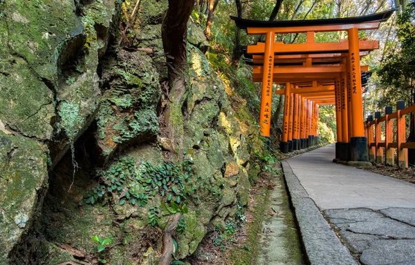 Kyoto Japão Fev 2018 Tight Shot Red Wooden Toriis Path — Fotografia de Stock