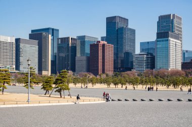 Tokyo, Japonya - 14 Şubat 2018: Chiyoda manzarası ve İmparatorluk Sarayı ağaçlardan park gündüz
