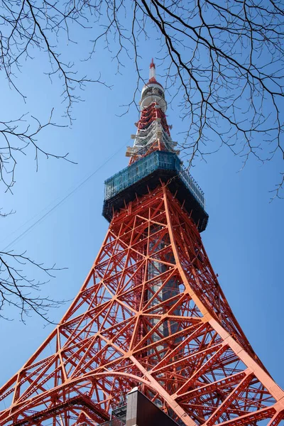 Tokio Japonia Lutego 2018 Tokio Wieża Eiffla Repliki Otoczony Brunche — Zdjęcie stockowe