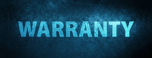 Warranty isolated on special blue banner background abstract illustration