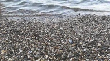 Orta Ren 'in berrak şeffaf nehir dalgaları ıslak çakıl taşları kıyılarına vuruyor. Kristal suya yaklaş. Uzayı kopyala.