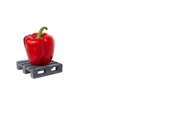 새빨간 파프리카 한 개가 검은 회색작은 팔레트 위에 서 있는 것을 클로즈업 해 커다란 카피 공간과 함께 흰색 배경에 고립되어 있다 . Sweet red bell pepper.Concept of sell products in vegeary store Department — 스톡 사진