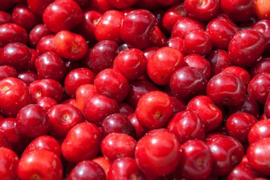 Kiraz. Masada kiraz kırmızı taze demet.