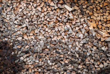 Kış için yakacak odun hazırlıyorum. Yakacak odun geçmişi, ormanda yakacak odun yığınları. Yakacak odun yığını.