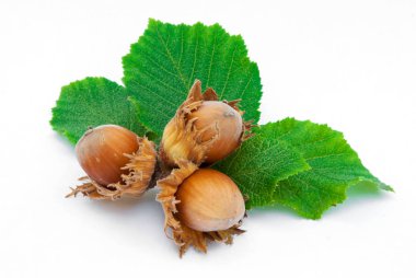 Beyaz arkaplanda yaprakları olan fındıklar.