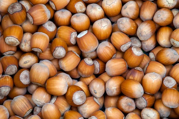 Lískové Ořechy Zásobník Lískových Ořechů Jídlo Pozadí Pozadí Lískových Oříšků — Stock fotografie