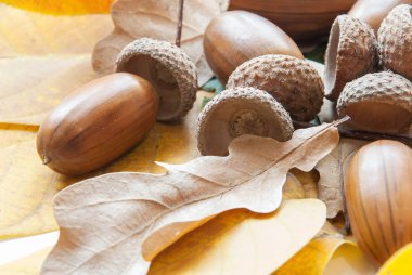 Meşe palamudundan bileşimi.