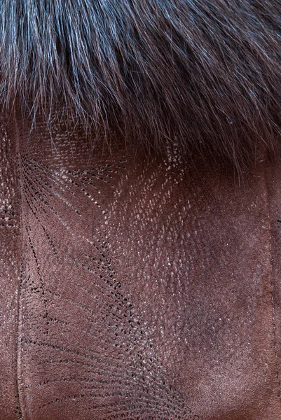 Brown Bianco Nero Animale Cadde Texture — Foto Stock