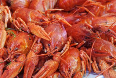 Eski ahşap arka plan üzerinde kerevit kerevit ile natürmort