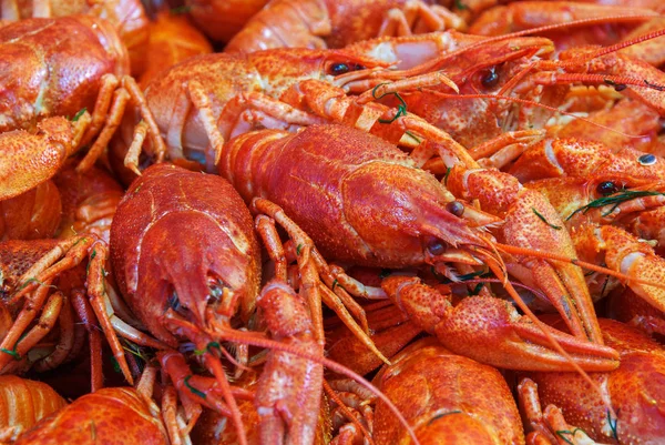 Still life with crayfish crawfish on old wooden background — Stock Photo, Image