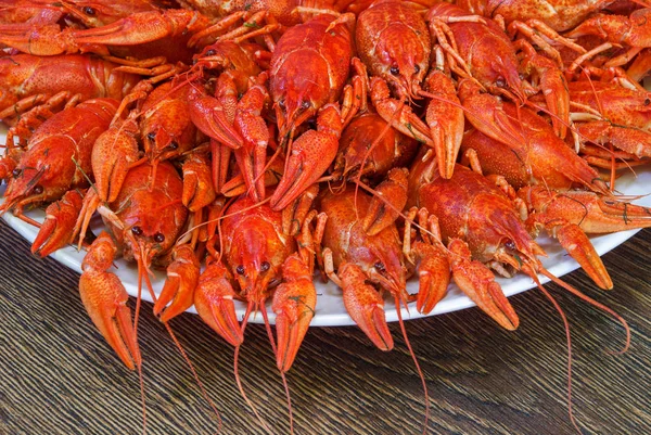 Still life with crayfish crawfish on old wooden background — Stock Photo, Image