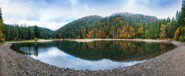 Dağlarda renkli bir sonbahar. Ekim ayının ilk karı