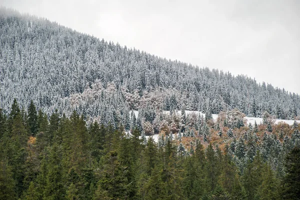 Kleurrijke herfst in de bergen. Eerste sneeuw in oktober — Stockfoto
