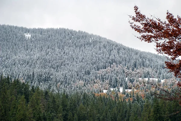 Kleurrijke herfst in de bergen. Eerste sneeuw in oktober — Stockfoto