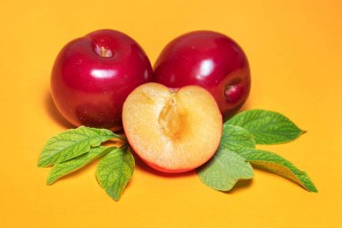 Sarı arka planda erik yaprağı olan erik meyvesi..