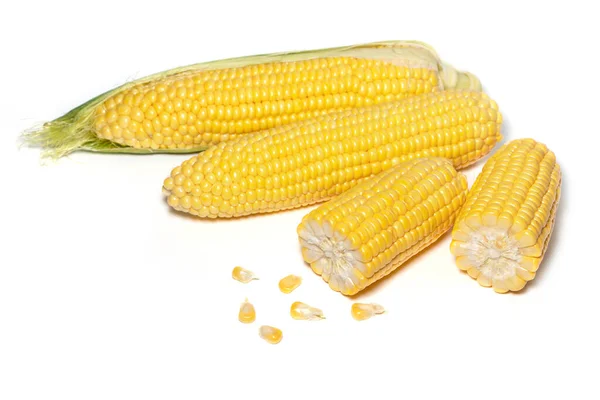 Очищенная Уха Кукурузы Кусок Семена Белой Изолированной — стоковое фото