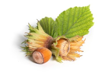 Beyaz arka planda filbert yapraklarıyla izole edilmiş fındıklar. Corylus.