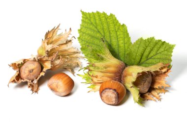 Beyaz arka planda filbert yapraklarıyla izole edilmiş fındıklar. Corylus.