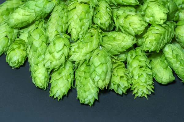 Grüne Hopfenzapfen Auf Schwarzem Hintergrund Frisch Geerntete Hopfenblüten Zur Bierherstellung — Stockfoto