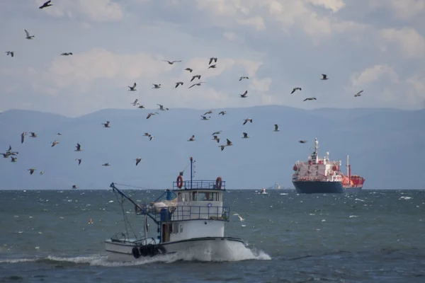 Fischerboot Gefolgt Von Möwen — Stockfoto