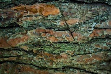 Soyut renkli doku ile çok renkli grunge arka plan. Çeşitli renk desen öğeleri. Ahşap arka plan.