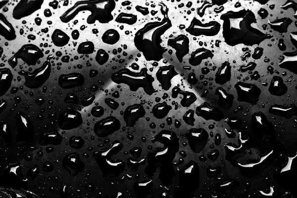 Падение Дождя Оставляет Красивый Узор Черном Фоне — стоковое фото