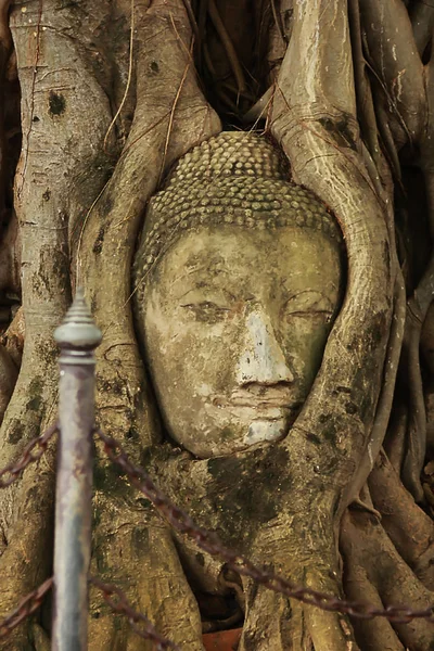 Vieux Bouddha Dans Province Ayutthaya Thaïlande — Photo